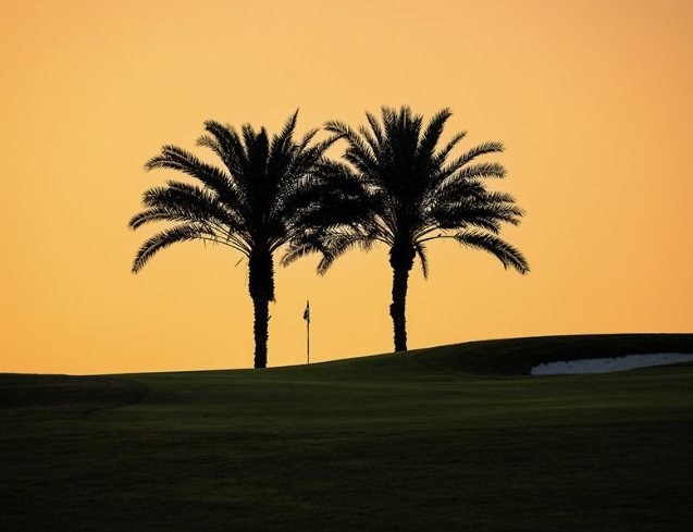 Two palm trees silhouetted against an orange sunset on a UAE golf course